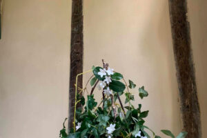 enduit intérieur maison 4